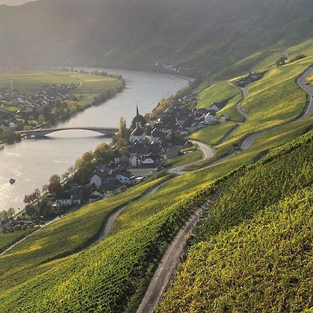 Weingut Lehnert-Spaeter Piesport Exterior foto